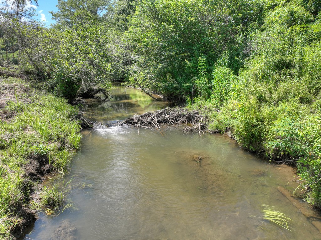 28.65 Jolley Way Epworth, GA 30541 - Photo 47 of 55 a view of a water pond with green yard
