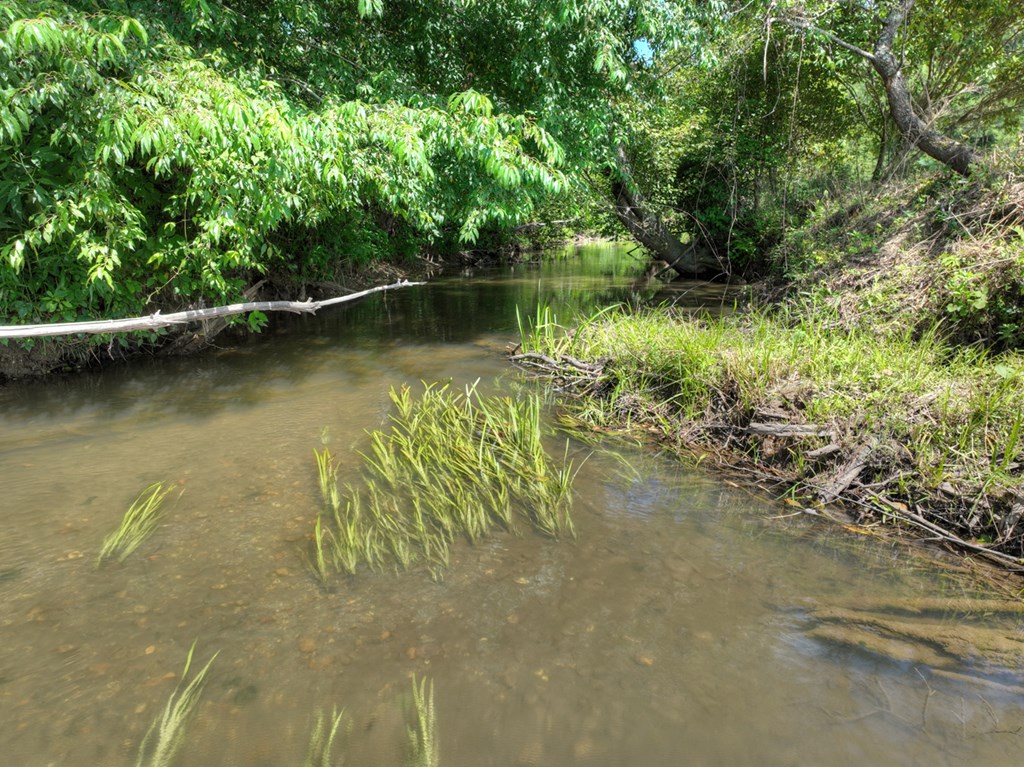 28.65 Jolley Way Epworth, GA 30541 - Photo 48 of 55