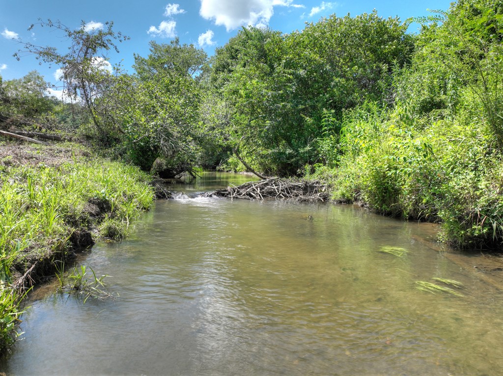 28.65 Jolley Way Epworth, GA 30541 - Photo 49 of 55 a view of a lake view with houses in the background