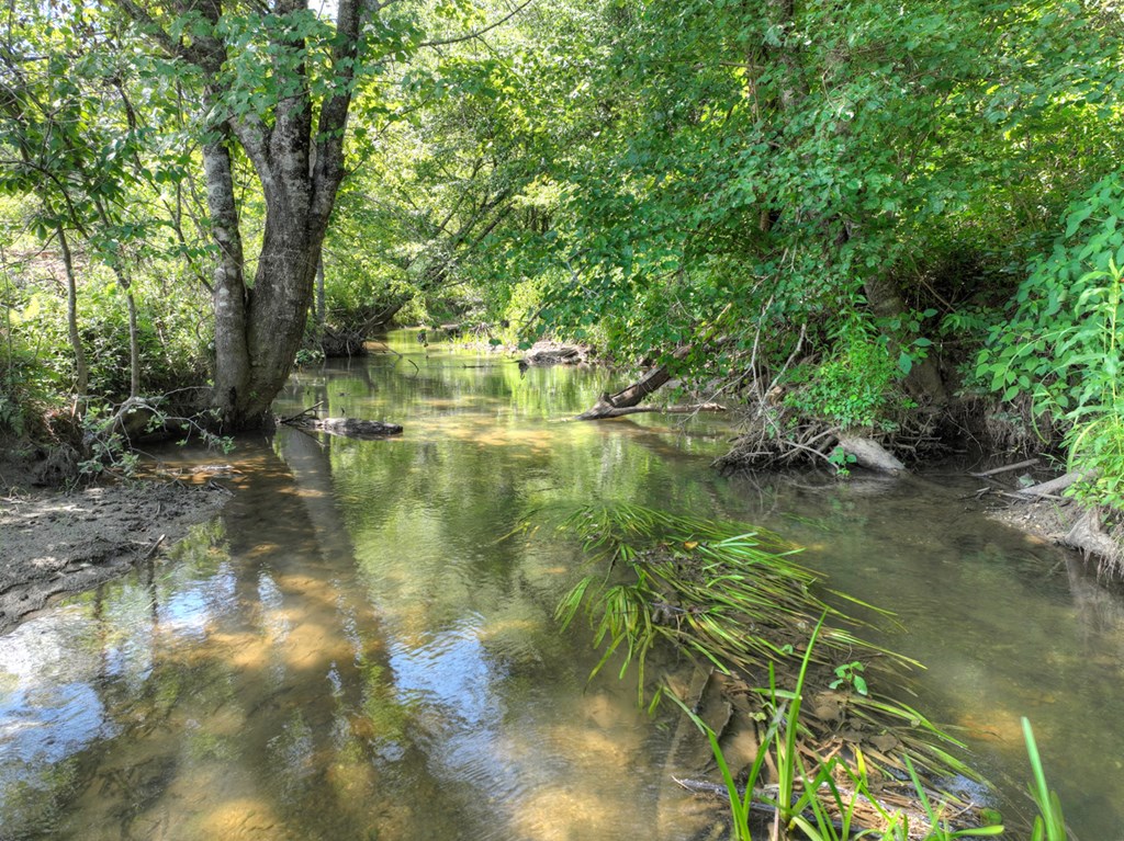 28.65 Jolley Way Epworth, GA 30541 - Photo 50 of 55 a view of lake