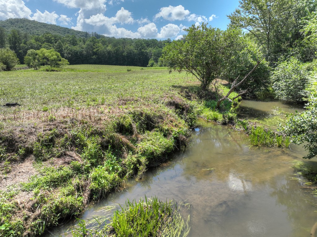 28.65 Jolley Way Epworth, GA 30541 - Photo 5 of 55 a view of a lake with a yard