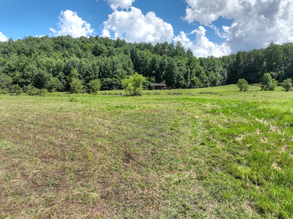 28.65 Jolley Way Epworth, GA 30541 - Photo 51 of 55 a view of a green field with wooden fence