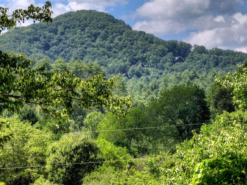 28.65 Jolley Way Epworth, GA 30541 - Photo 53 of 55 a view of a field with a tree