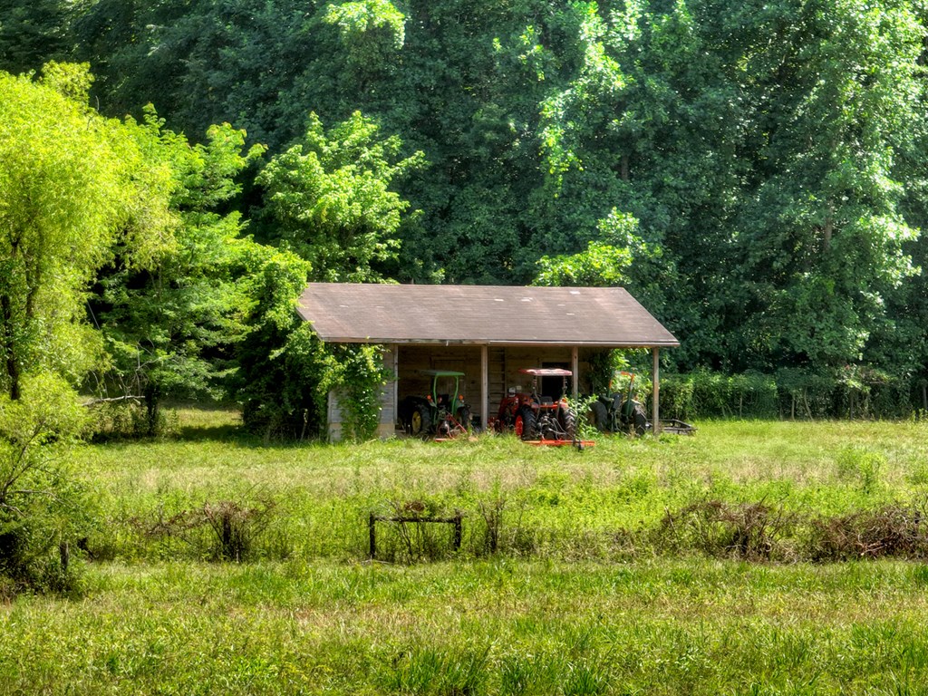 28.65 Jolley Way Epworth, GA 30541 - Photo 7 of 55 a backyard of a house with yard and green space