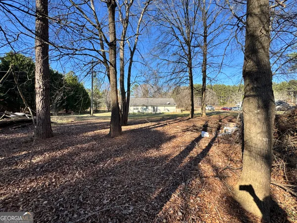 a view of a yard with trees