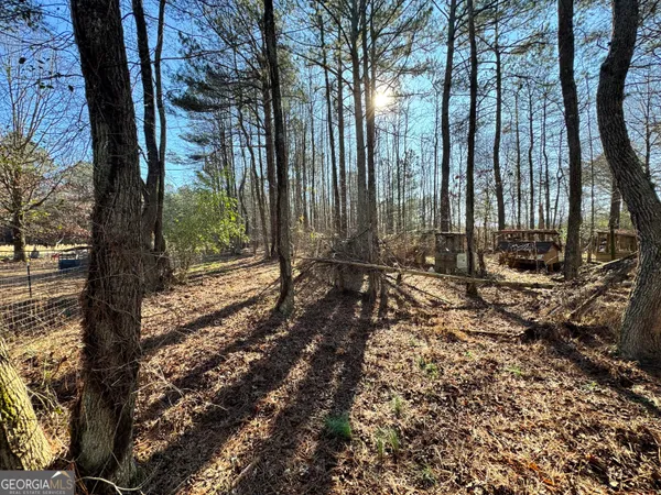 a view of a forest with trees