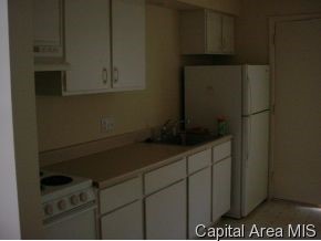 206 West Canedy Street Springfield, IL 62704 - Photo 5 of 8 Gallery Image 5
