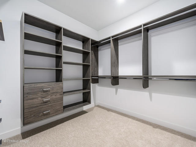 867 North Marshfield Avenue, Unit 1 Chicago, IL 60622 - Photo 10 of 12 a view of walk in closet with empty racks