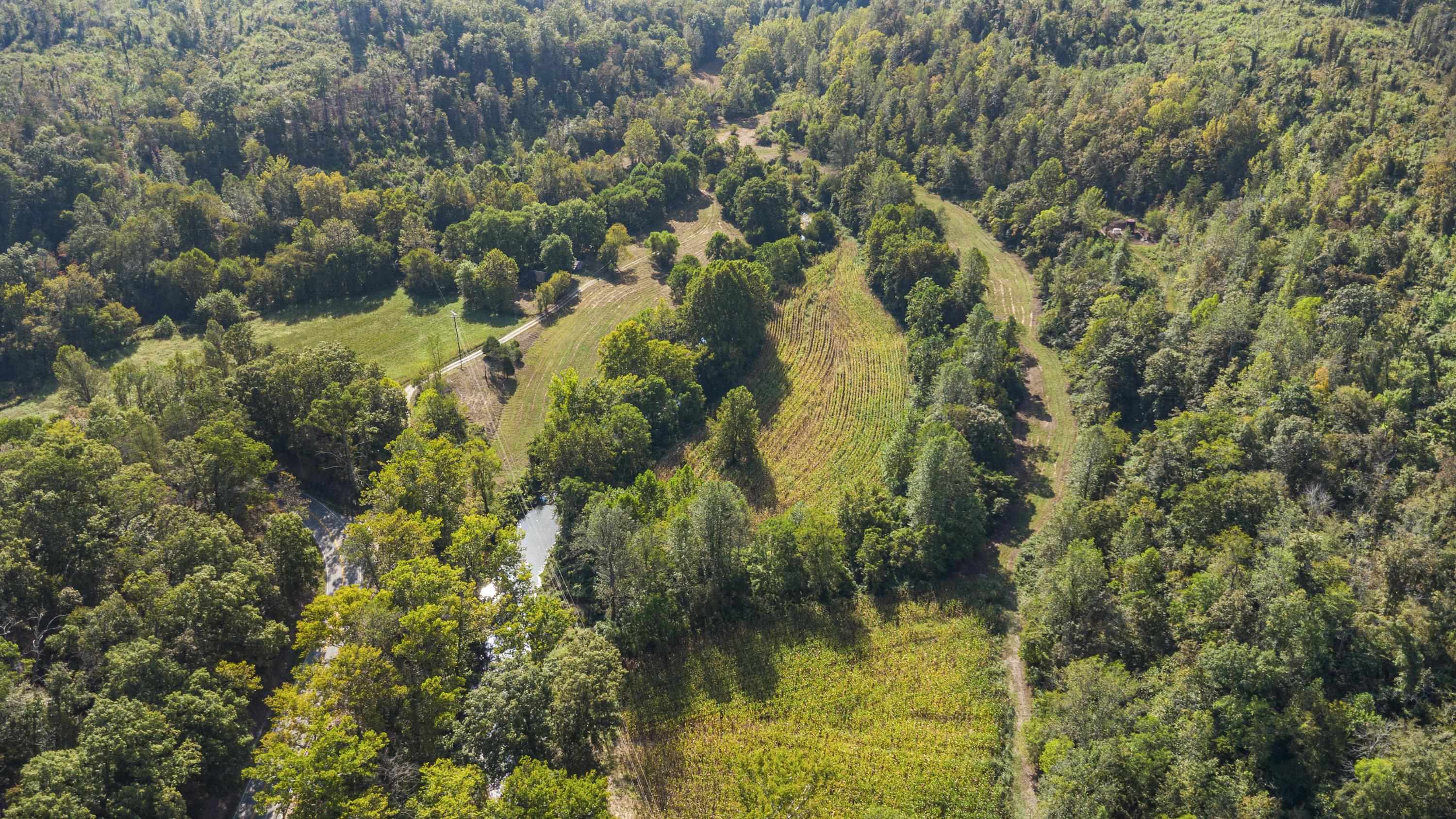 0 Tate Hollow Road Louisa, KY 41230 - Photo 30 of 50