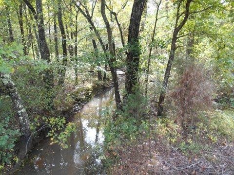 1055 Cty Road Higdon, AL 35979 - Photo 10 of 24