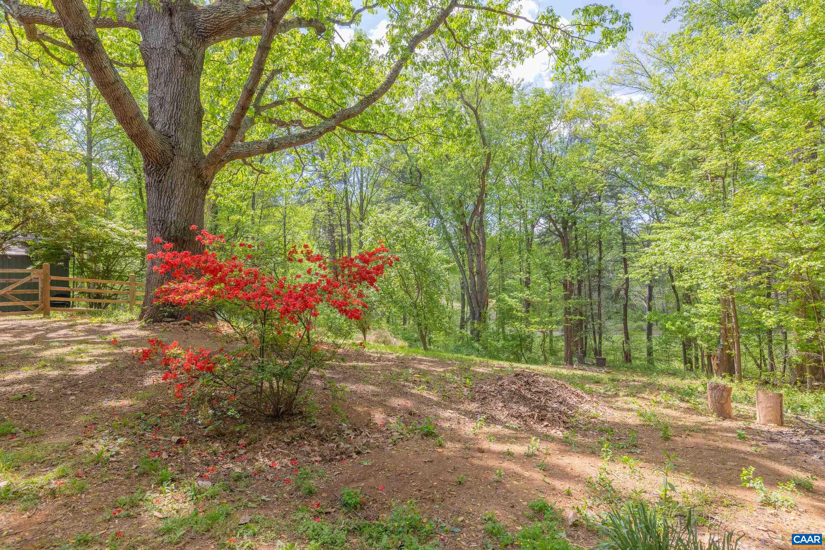 826 Beagle Gap Road Crozet, VA 22932 - Photo 6 of 29 Gallery Image 6