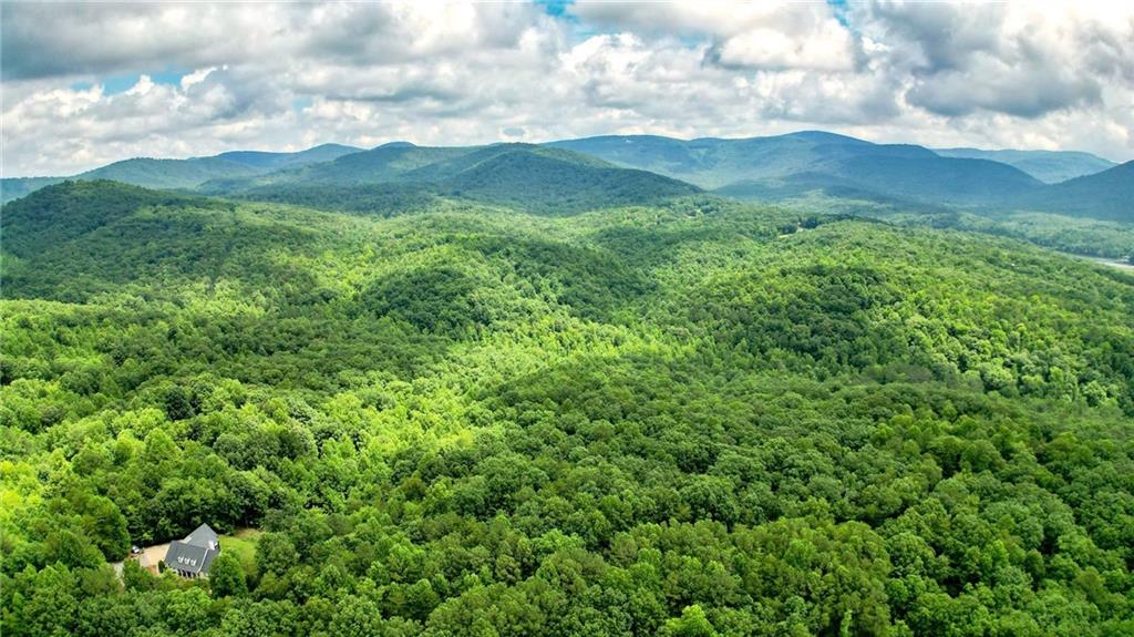 47-ac Pine Crest Road Jasper, GA 30143 - Photo 3 of 11