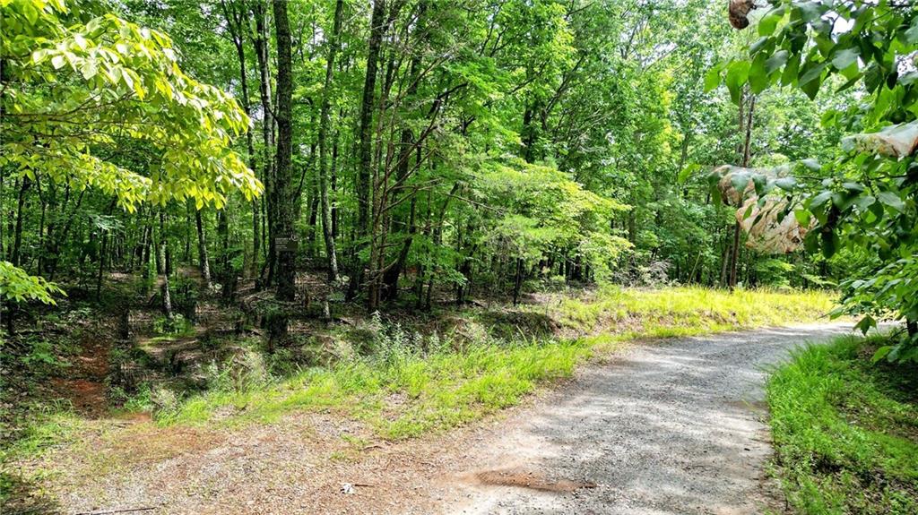 47-ac Pine Crest Road Jasper, GA 30143 - Photo 6 of 11