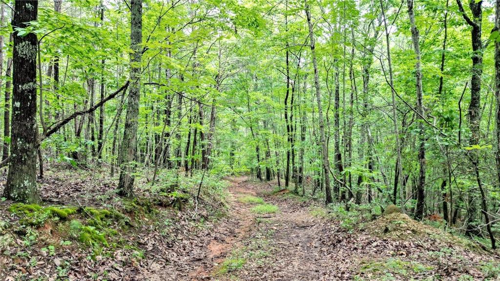 47-ac Pine Crest Road Jasper, GA 30143 - Photo 9 of 11