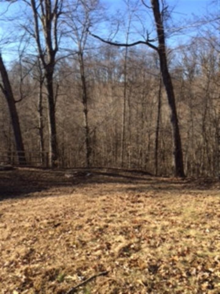 4019 East Ramp Creek Road Bloomington, IN 47401 - Photo 14 of 20