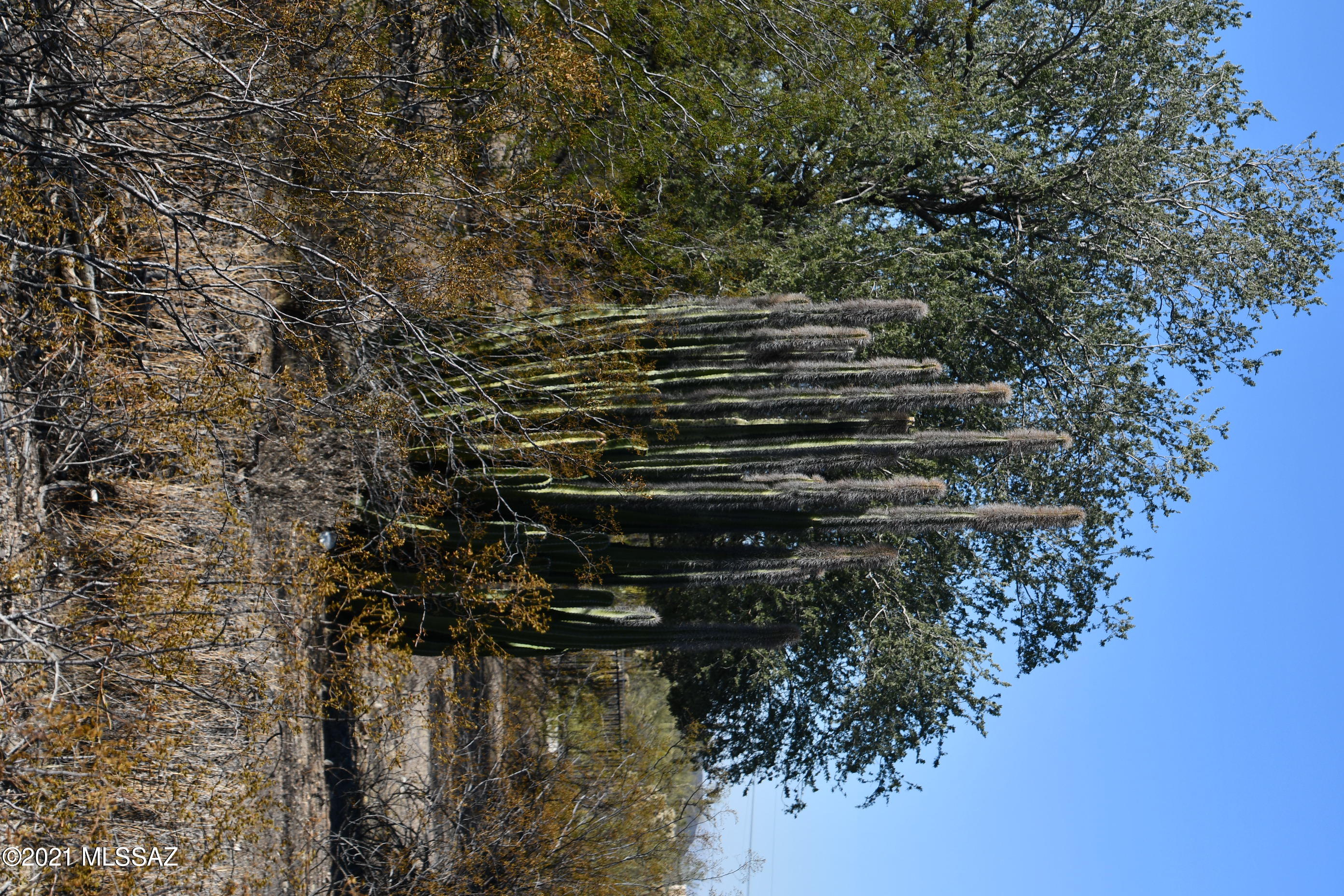 6502 West Ina Road Tucson, AZ 85743 - Photo 46 of 50 Gallery Image 46