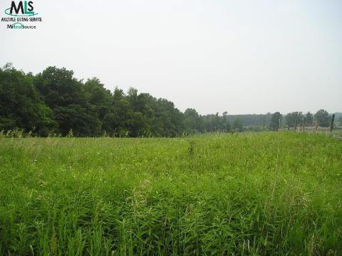 6635 Hough Road Almont, MI 48003 - Photo 7 of 7 680085-6.JPG