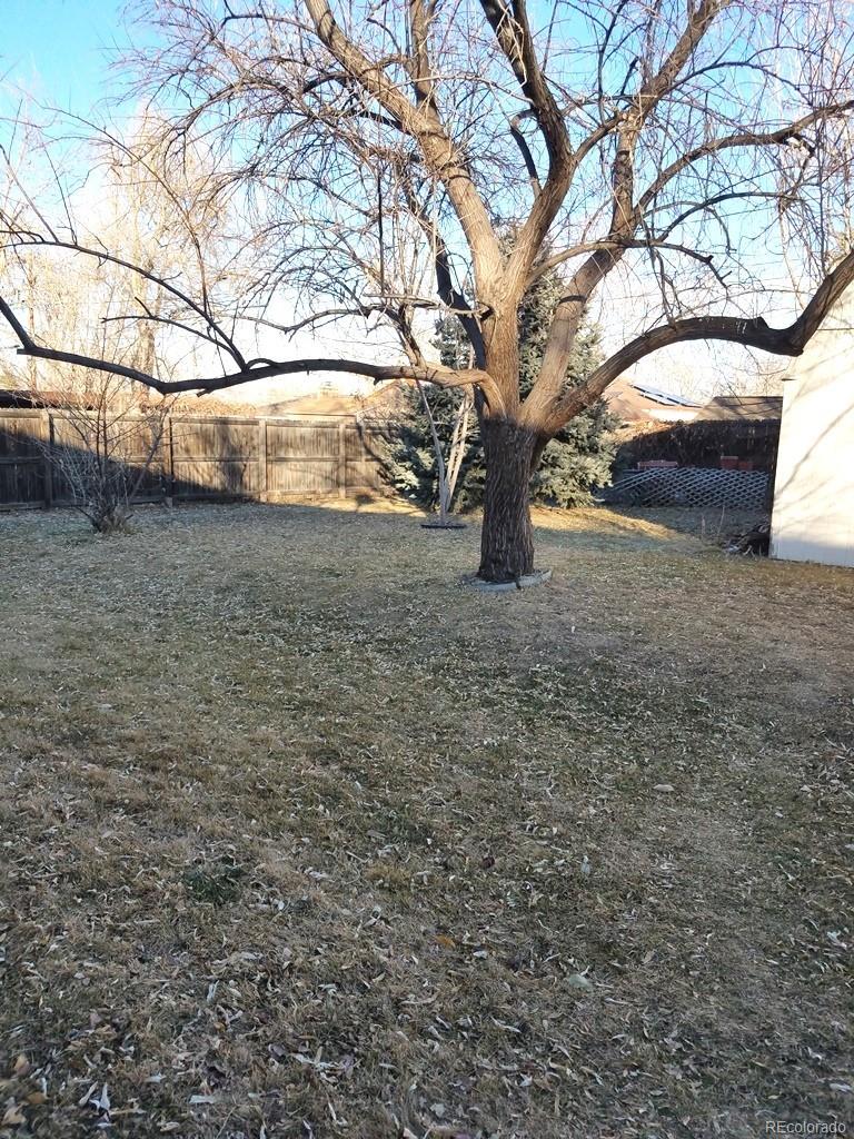 4420 Zephyr Street Wheat Ridge, CO 80033 - Photo 11 of 11 Gallery Image 11