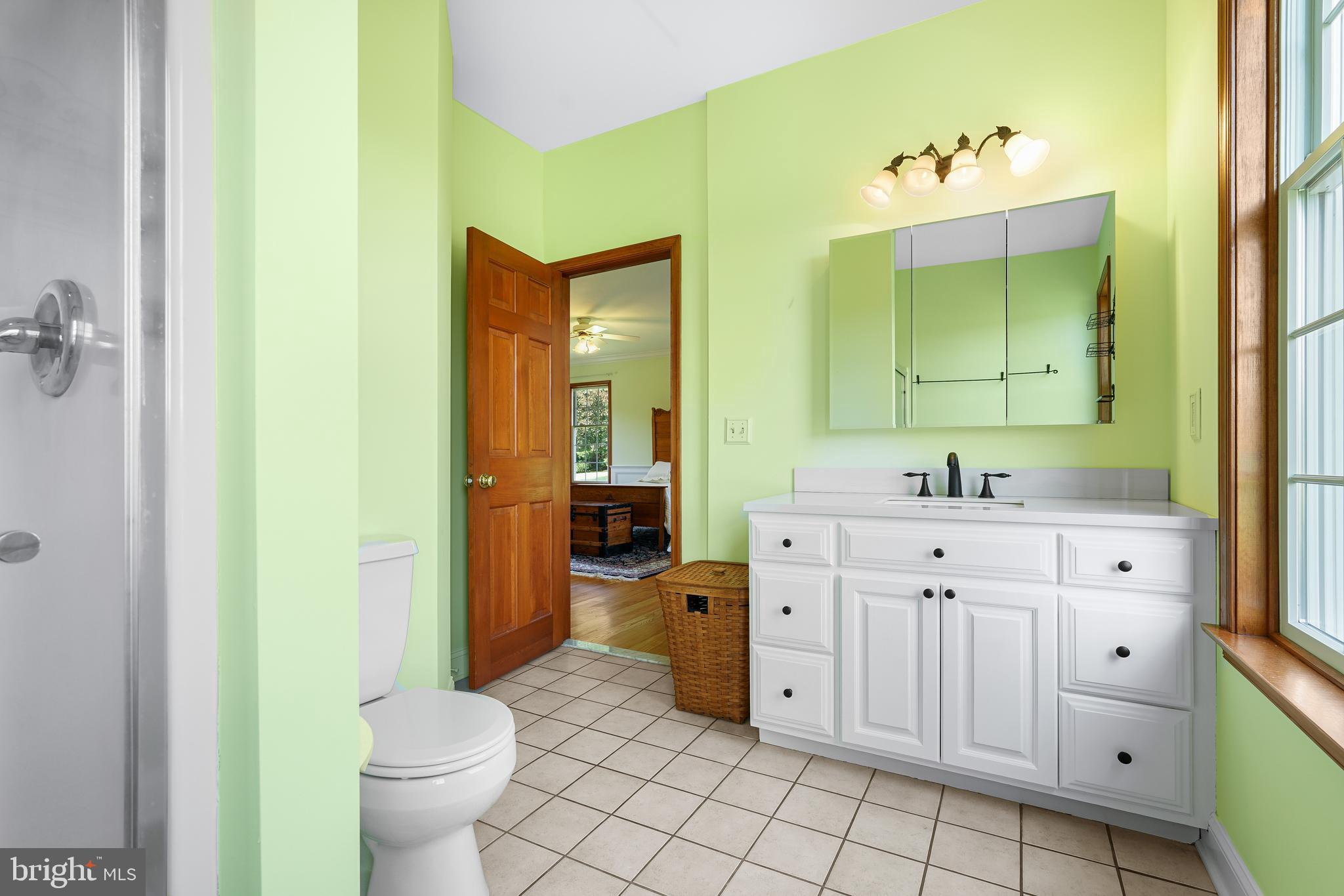 42 Morgan Creek Road Earleville, MD 21919 - Photo 32 of 50 Master Bath