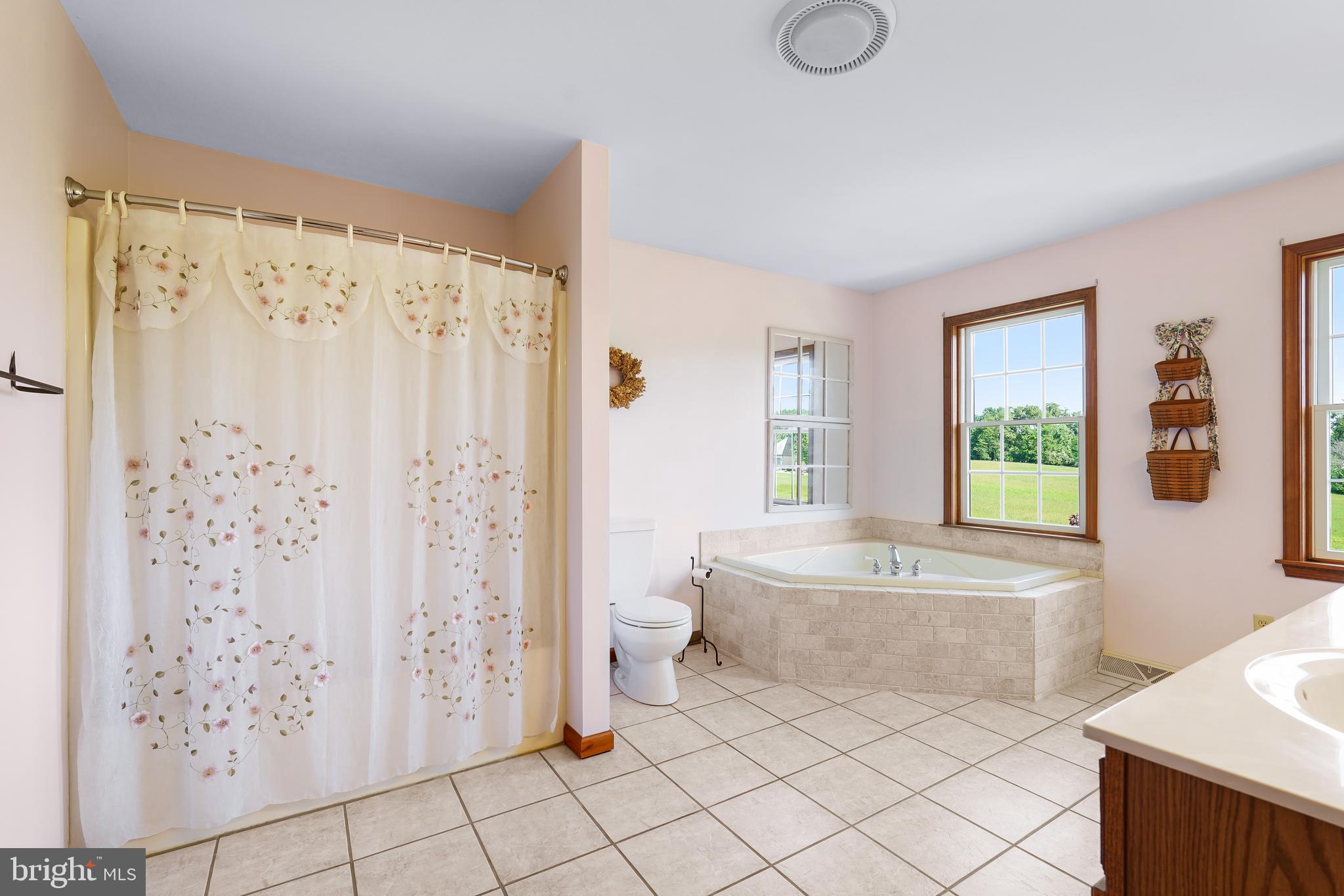 42 Morgan Creek Road Earleville, MD 21919 - Photo 34 of 50 Upstairs Full Bath
