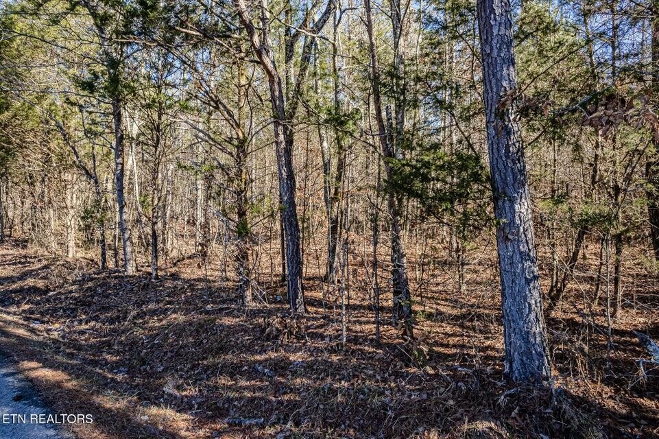 5 South NoPone Vly Road Athens, TN 37303 - Photo 4 of 12