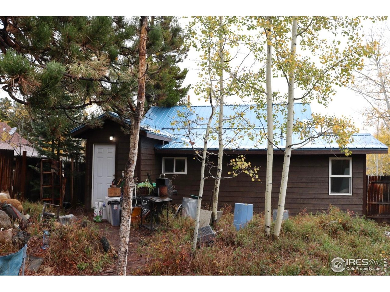 470 West Spring Street Nederland, CO 80466 - Photo 13 of 19