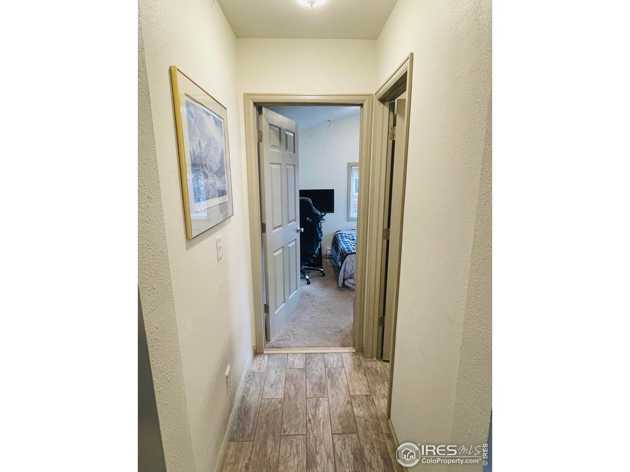 470 West Spring Street Nederland, CO 80466 - Photo 10 of 19