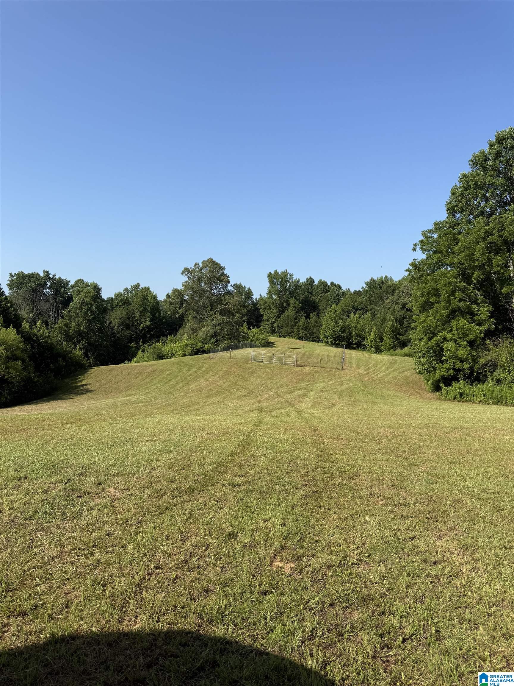 0 County Road 450 Fruithurst, AL 36262 - Photo 7 of 13