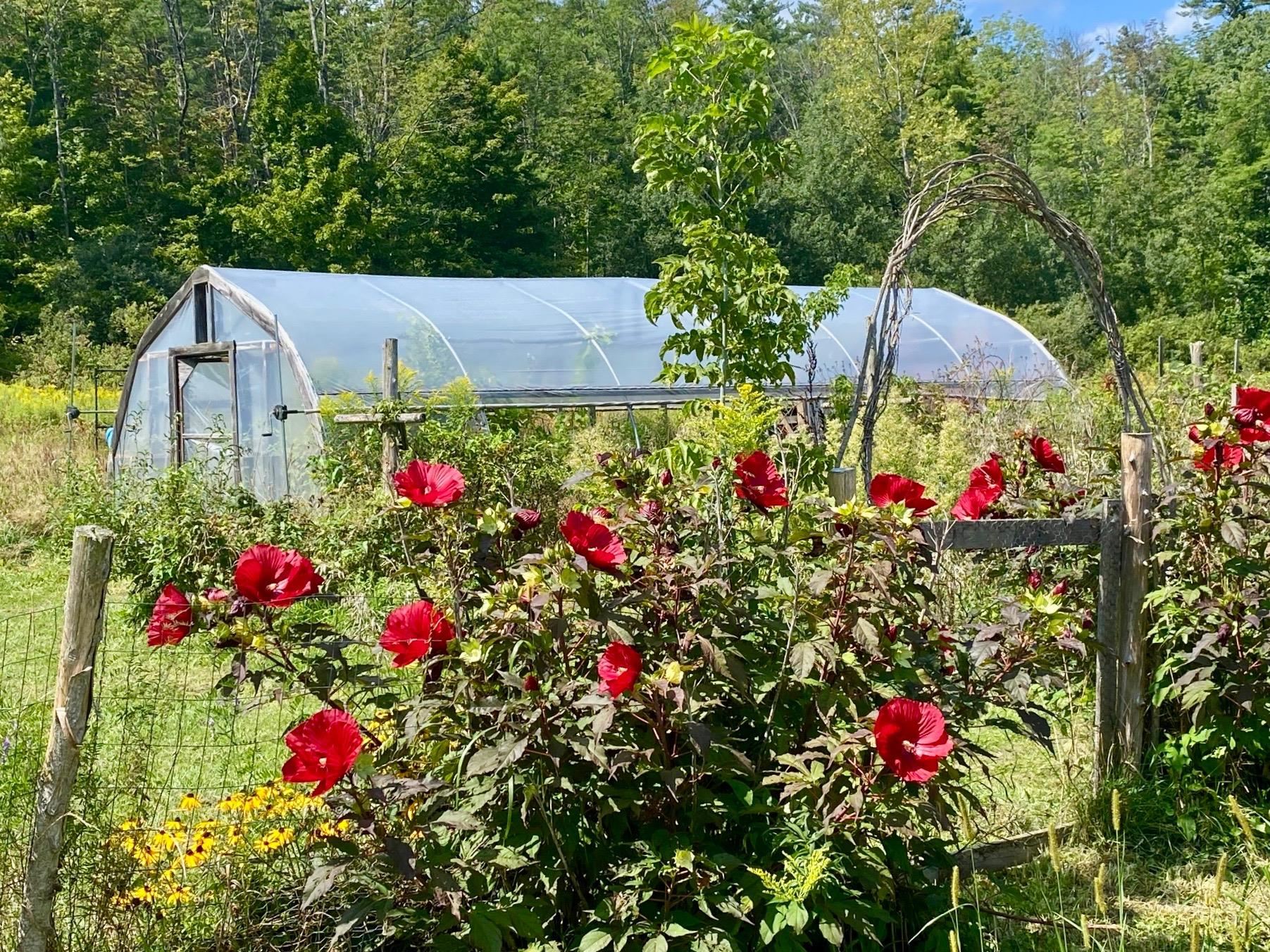 2901 West Street Proctor, VT 05765 - Photo 11 of 41 Gallery Image 11