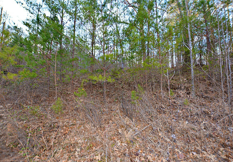 Lot 59 Mistletoe Loop Sevierville, TN 37876 - Photo 1 of 6 A
