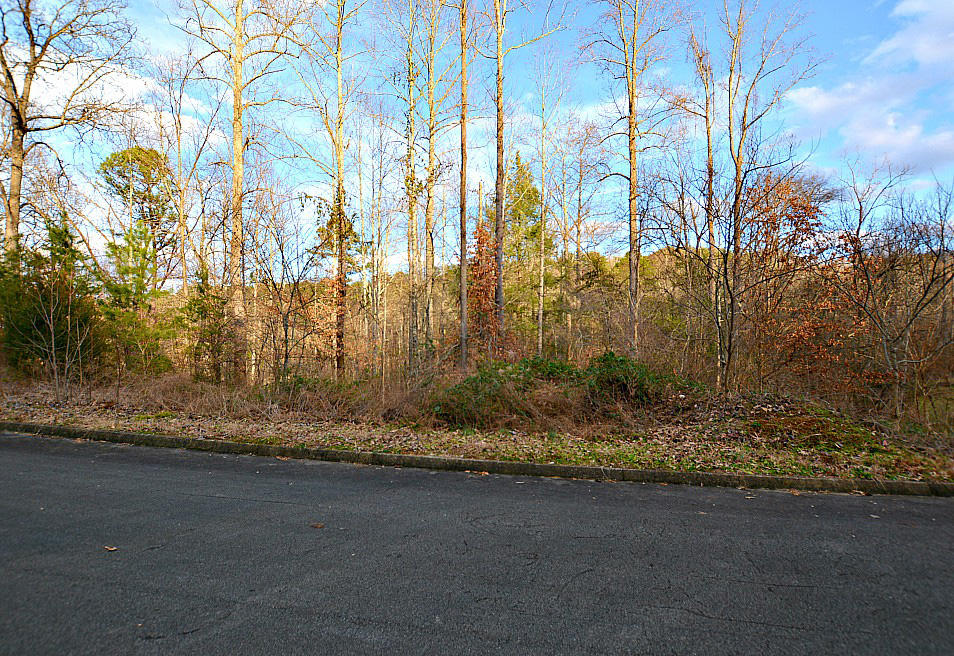 Lot 59 Mistletoe Loop Sevierville, TN 37876 - Photo 3 of 6 C