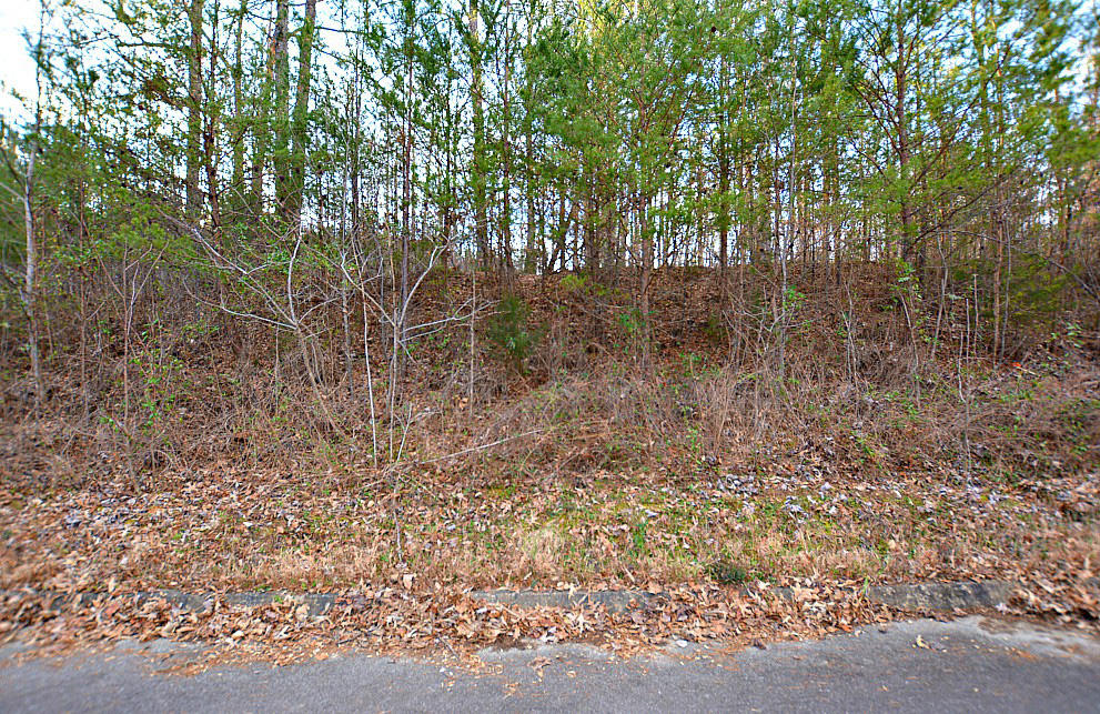Lot 59 Mistletoe Loop Sevierville, TN 37876 - Photo 4 of 6 H