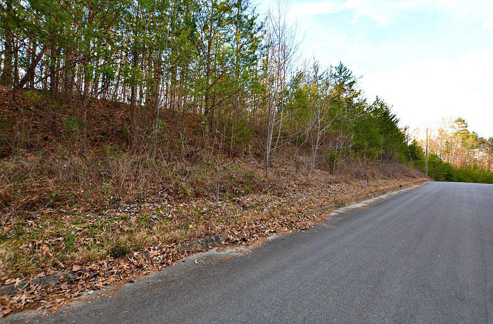 Lot 59 Mistletoe Loop Sevierville, TN 37876 - Photo 5 of 6 J