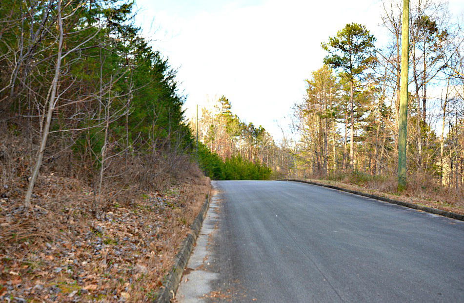 Lot 59 Mistletoe Loop Sevierville, TN 37876 - Photo 6 of 6 K