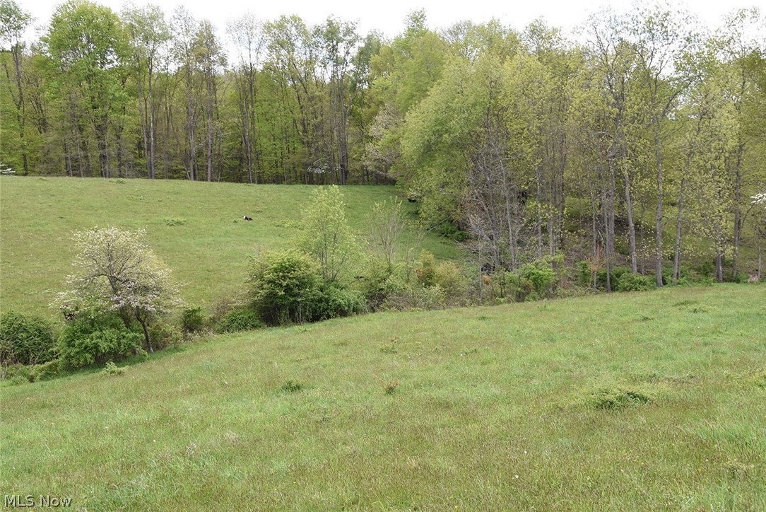 252 Waynesburg Road Northeast Carrollton, OH 44615 - Photo 25 of 35