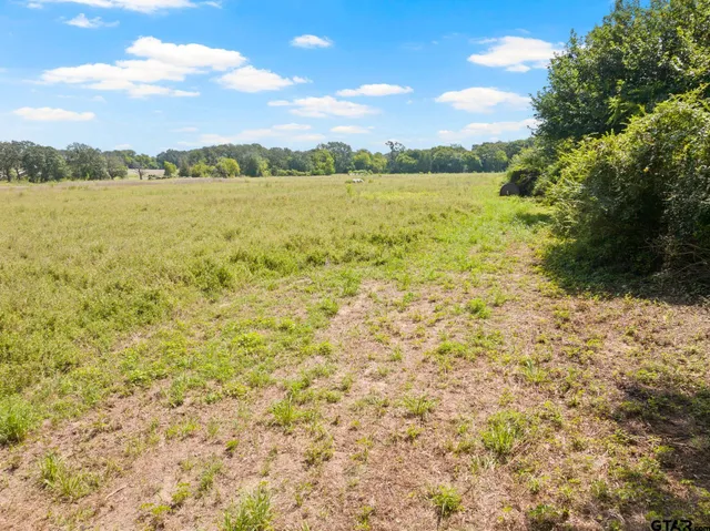 a view of lake and mountain