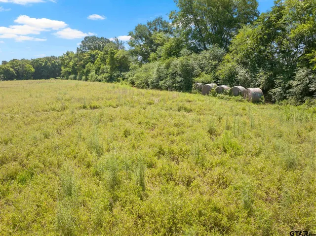 a view of an outdoor space and a yard