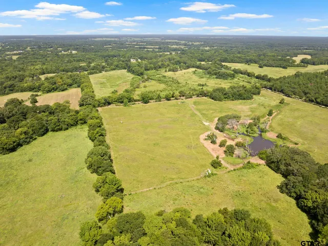 a view of city and ocean