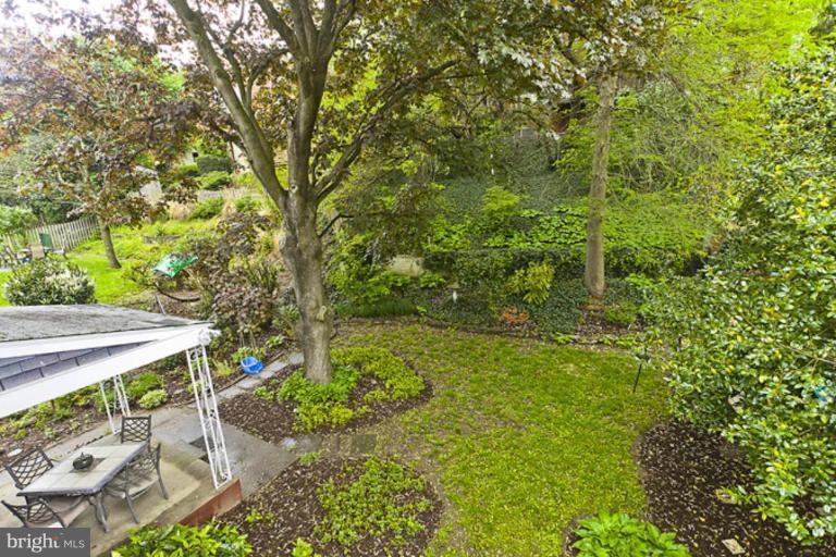 307 Mansfield Road Silver Spring, MD 20910 - Photo 12 of 30 Roof Deck View