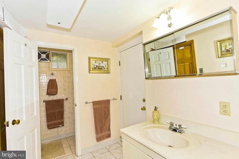 307 Mansfield Road Silver Spring, MD 20910 - Photo 25 of 30 Bath #2