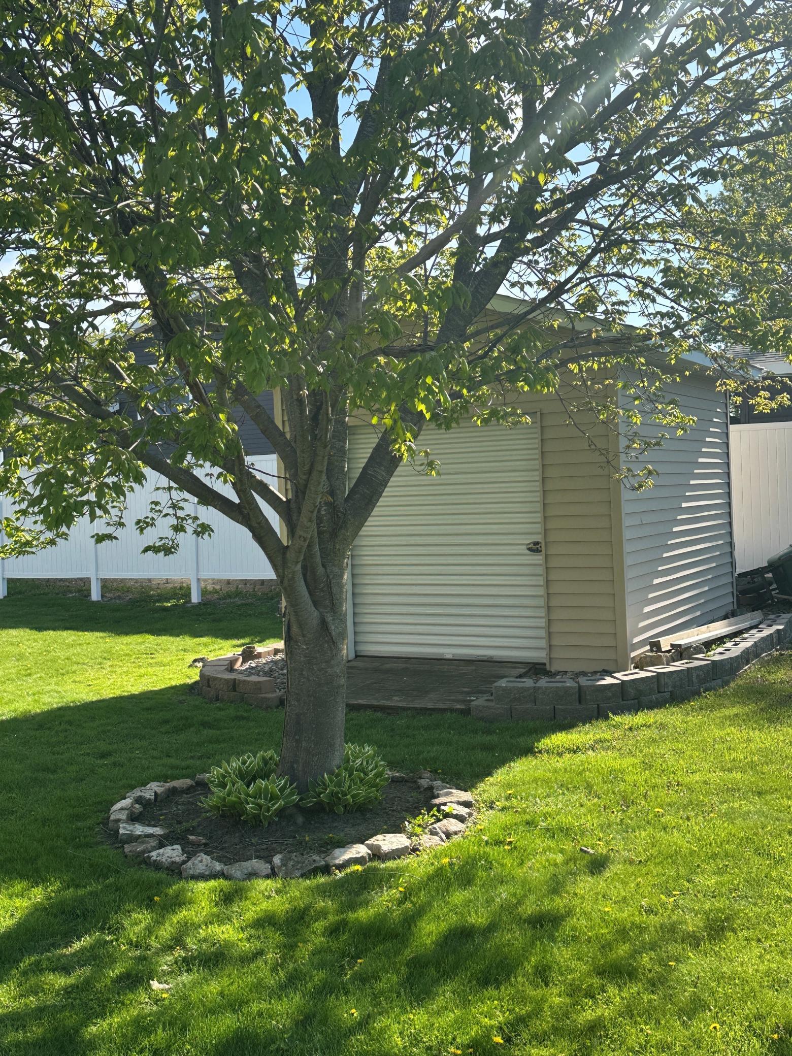100 Capelle Court Spring Valley, MN 55975 - Photo 2 of 31