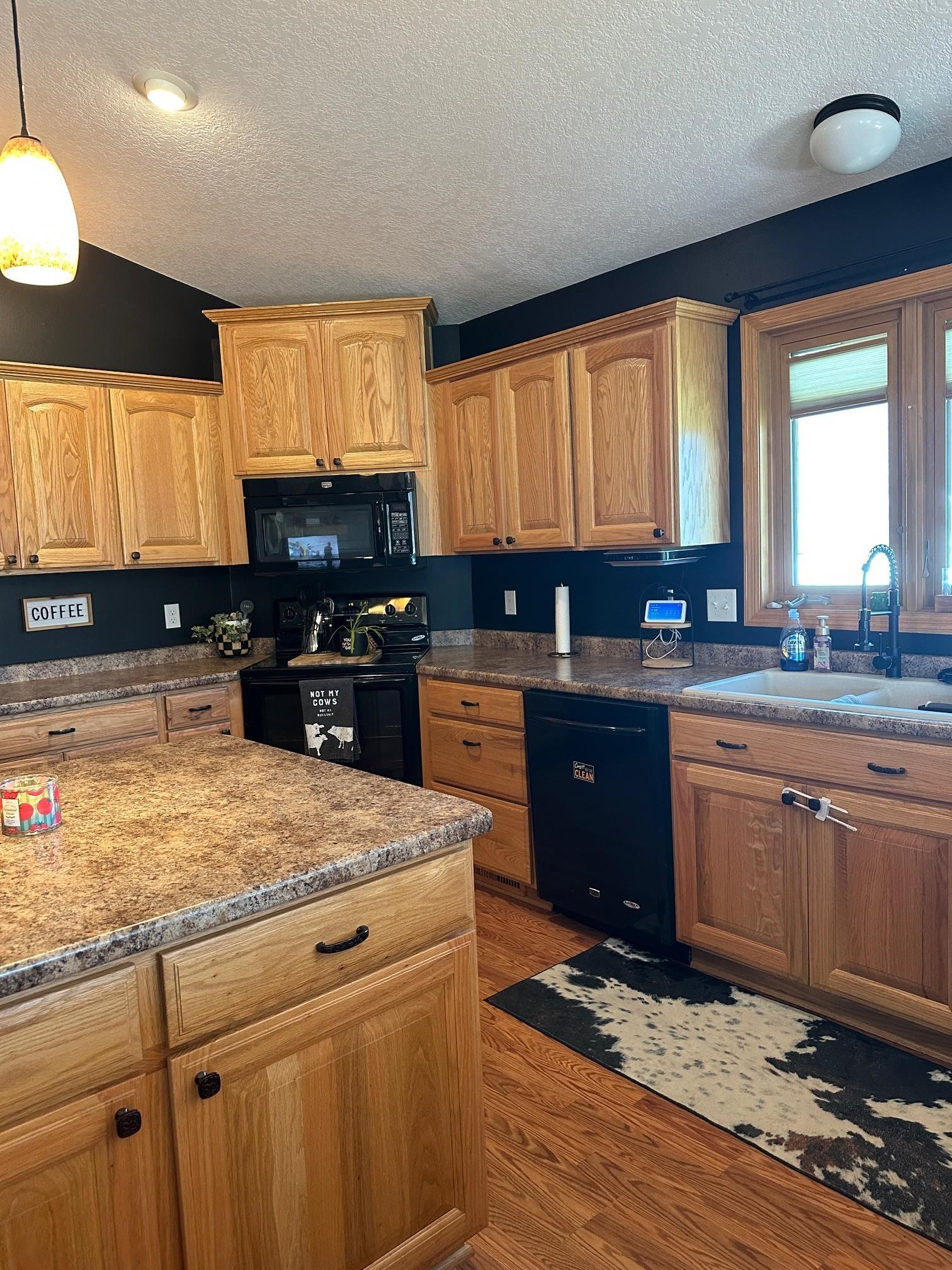 100 Capelle Court Spring Valley, MN 55975 - Photo 4 of 31