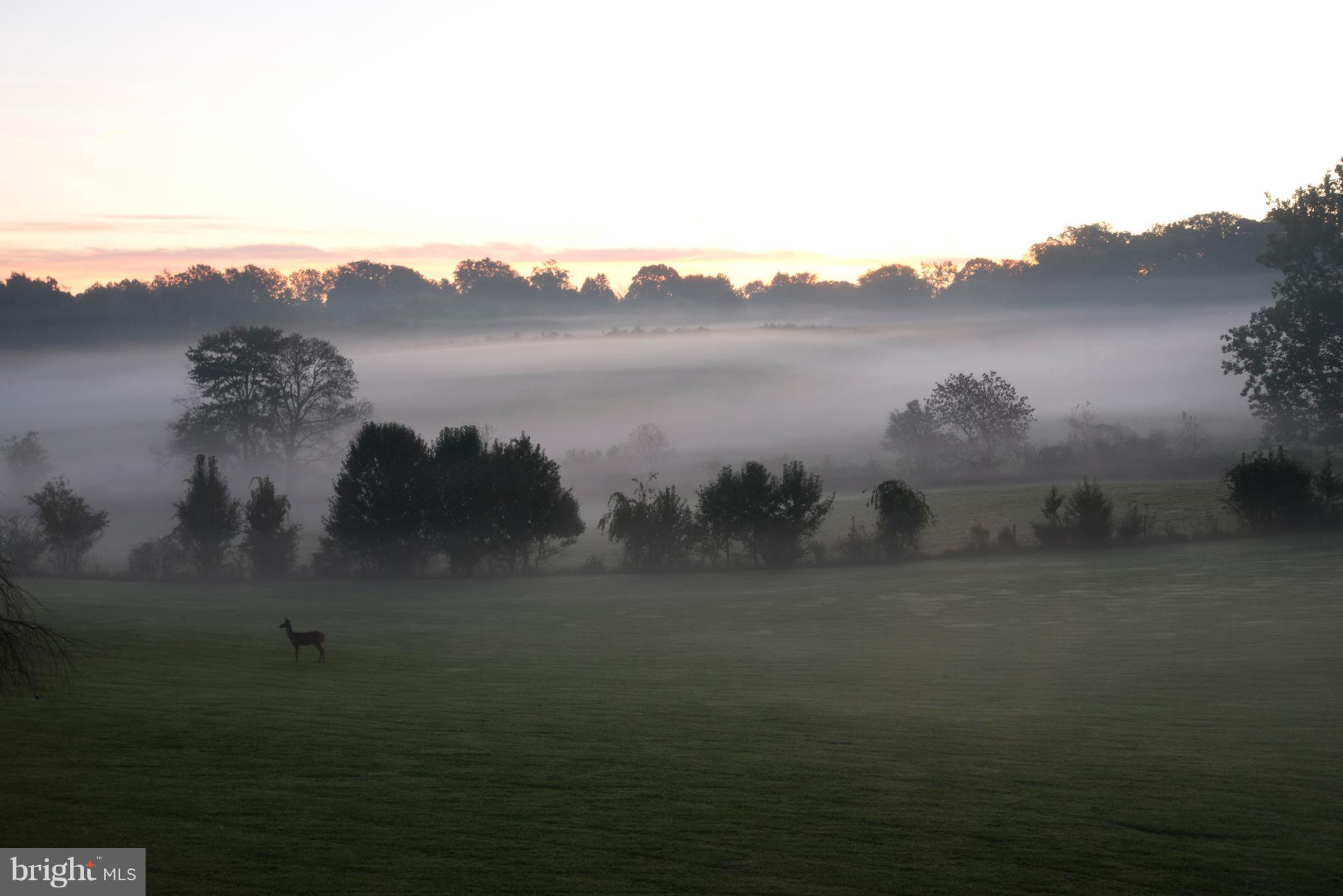 Fall Morning View of Nearby Pasture