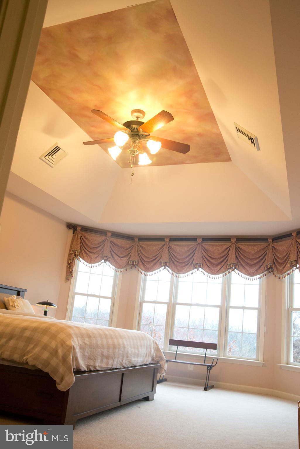 310 Prospect Mill Road Bel Air, MD 21015 - Photo 11 of 30 Master Bedroom Tray Ceiling with Lighted Fan