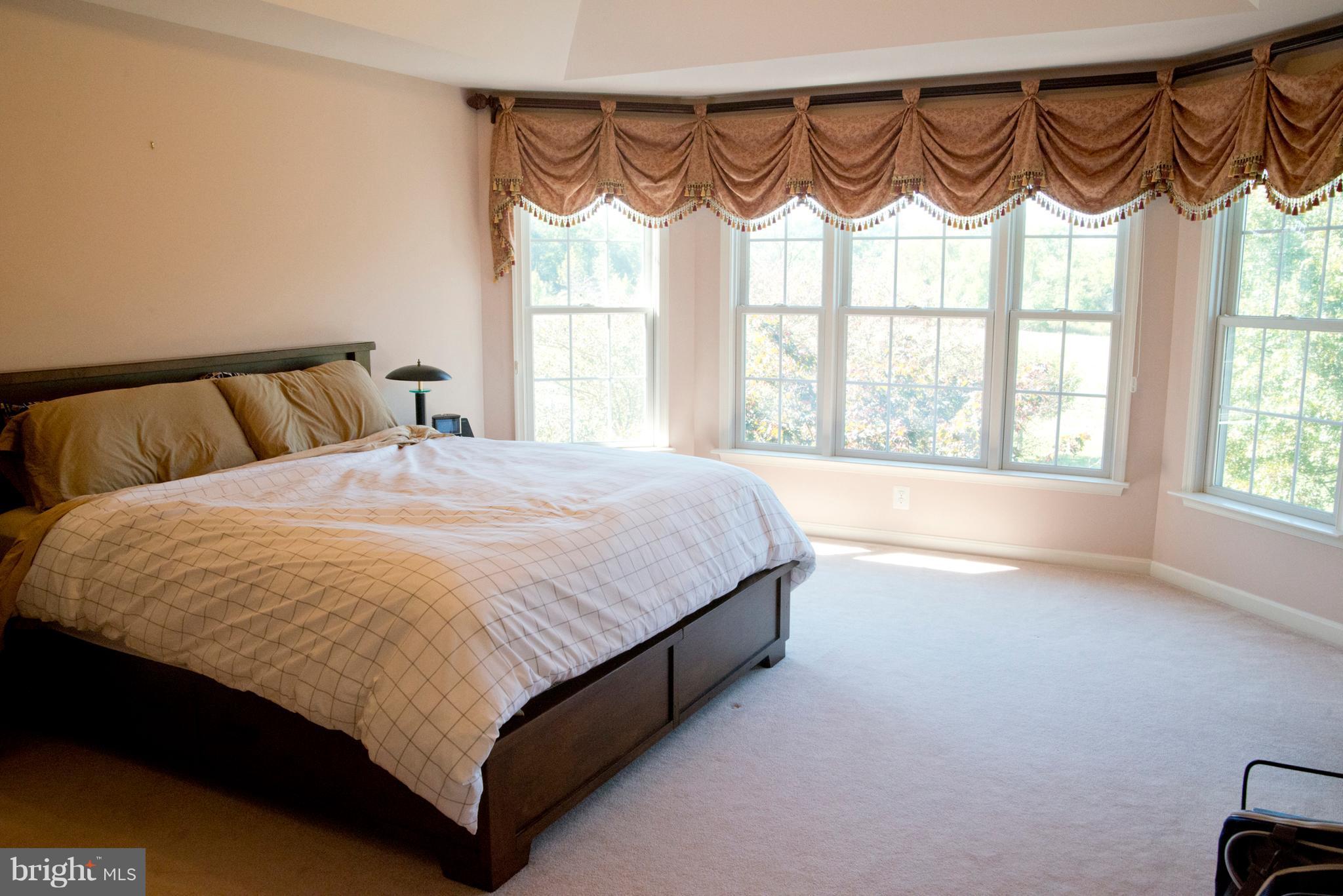 310 Prospect Mill Road Bel Air, MD 21015 - Photo 10 of 30 Master Bedroom Suite has bump out