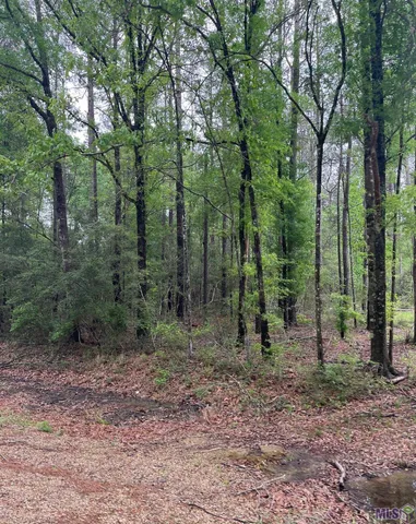 $50,000 | 5 Pride-Baywood Road, Greenwell Springs, LA 70739