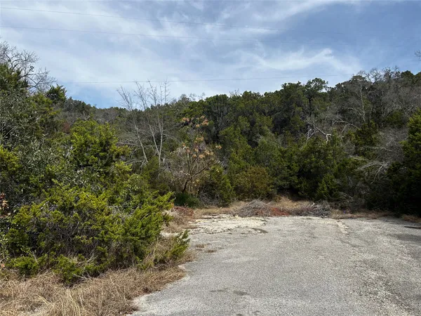 a view of a dry yard