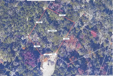 a view of a dirt road with trees in the background