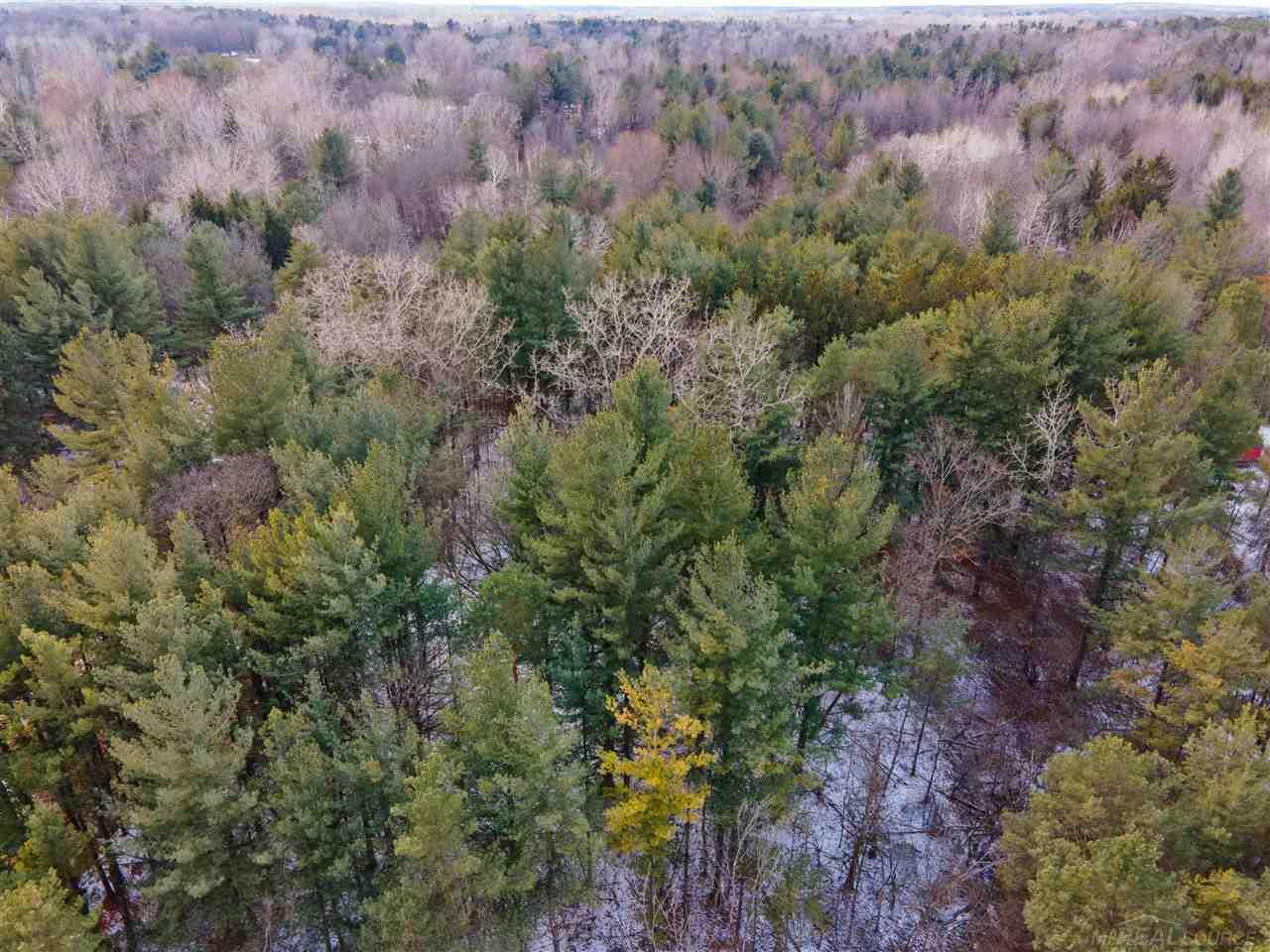 Werner Road Columbus, MI 48063 - Photo 2 of 14