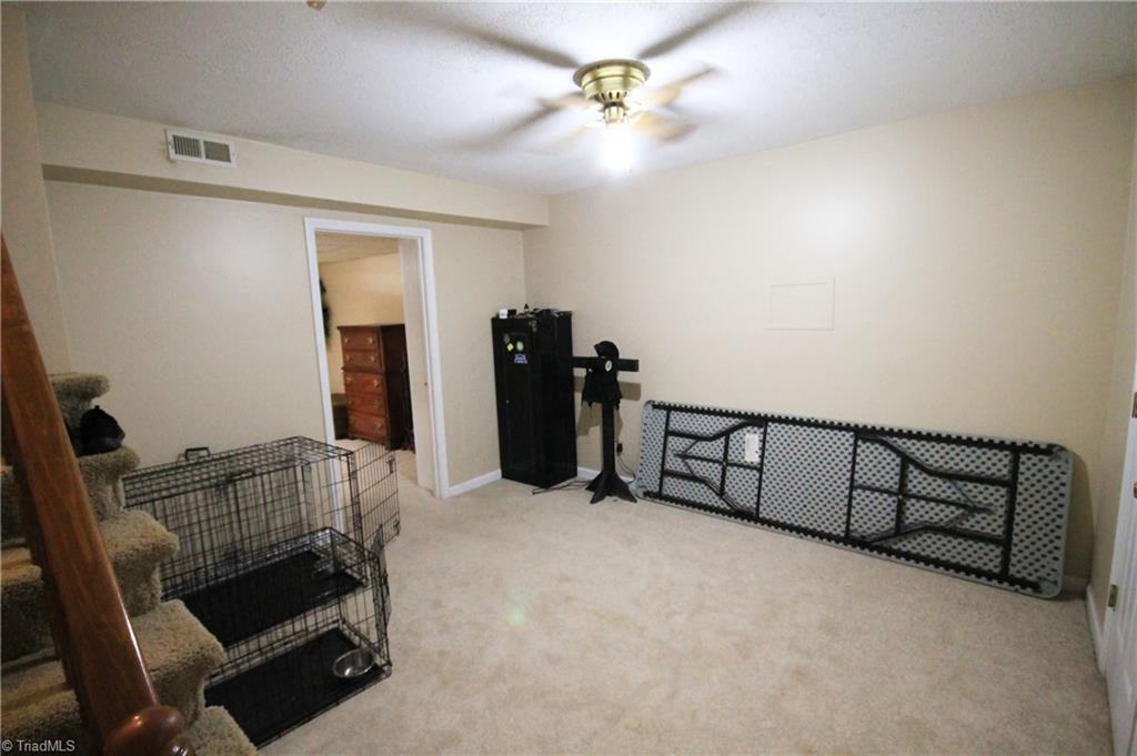 5560 Folkstone Road Pfafftown, NC 27040 - Photo 37 of 44 Basement room